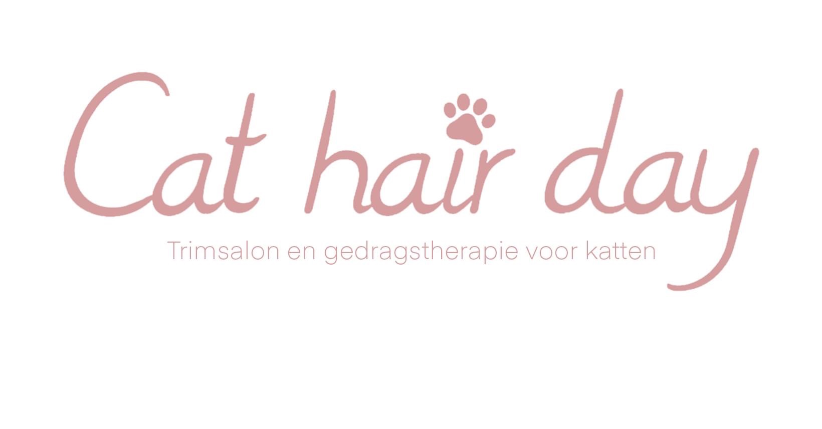 Cat Hair Day